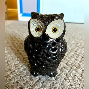 Light up owl
